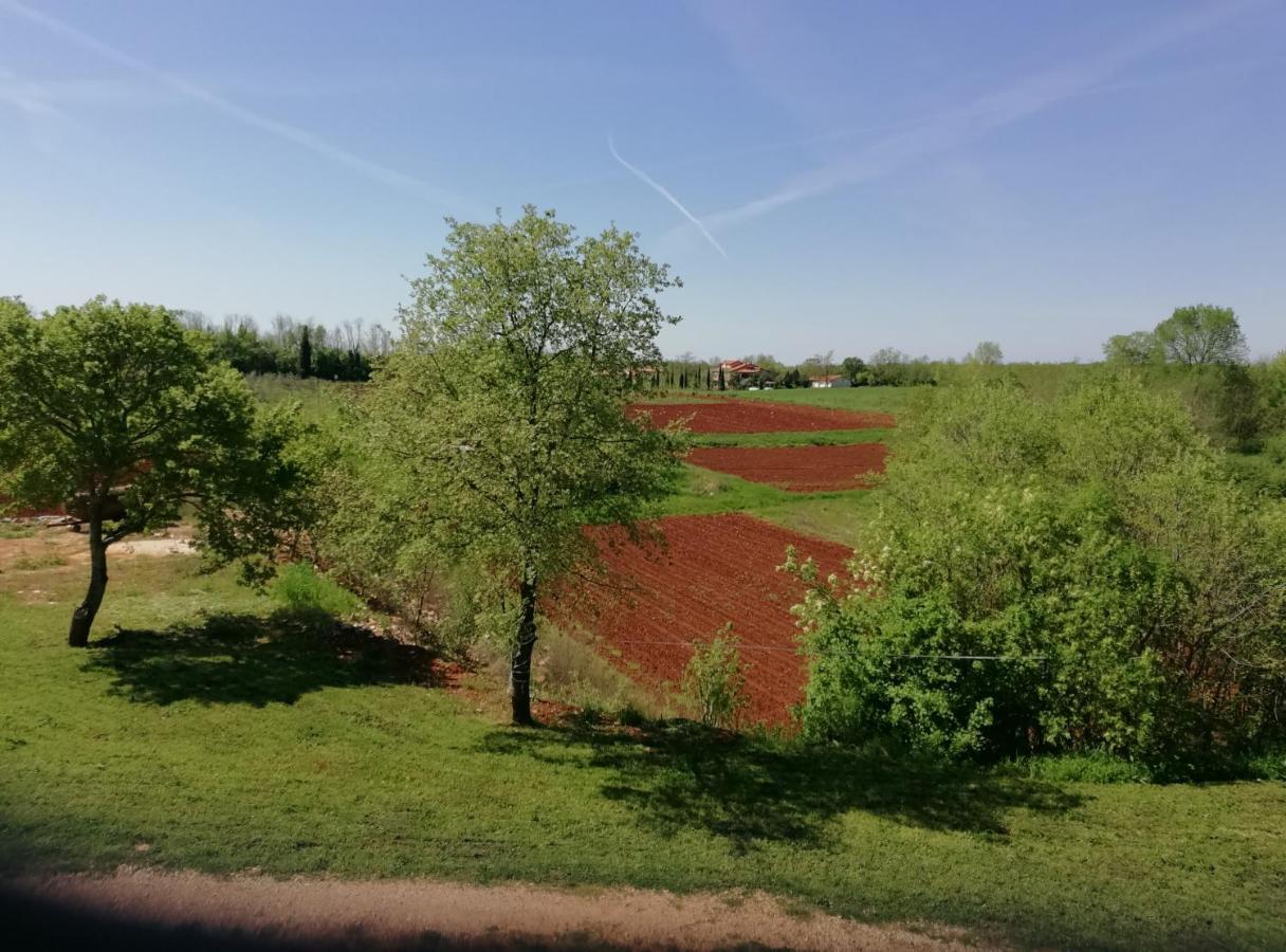 Apartman Nikola Ladrovici Esterno foto