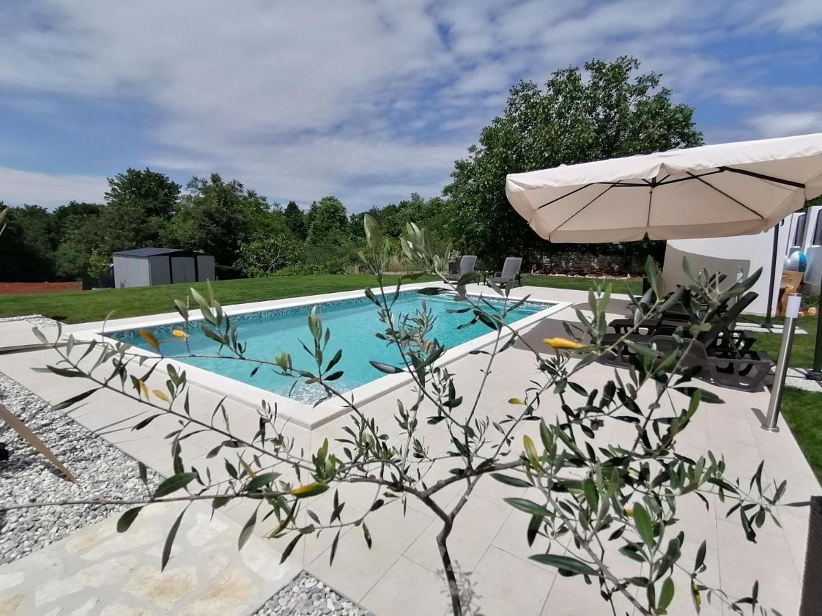 Apartman Nikola Ladrovici Esterno foto